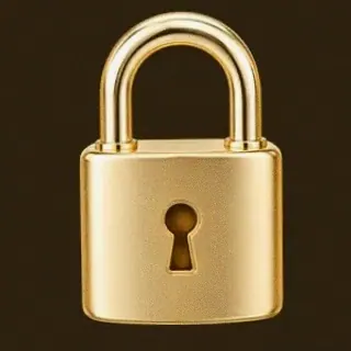 Metal padlock — Roospin