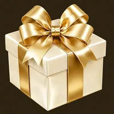 Ribboned gift box — Roospin