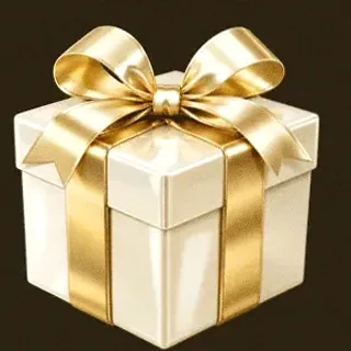 Wrapped gift box — Roospin