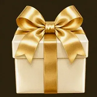 Ribbon gift box — Roospin