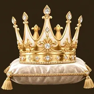 Gold crown on cushion — Roospin