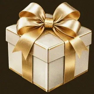 Gift box — Roospin