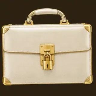 Locked leather briefcase — Roospin