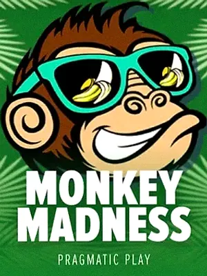 Monkey Madness at Roospin