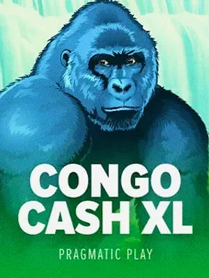 Congo Cash XL at Roospin
